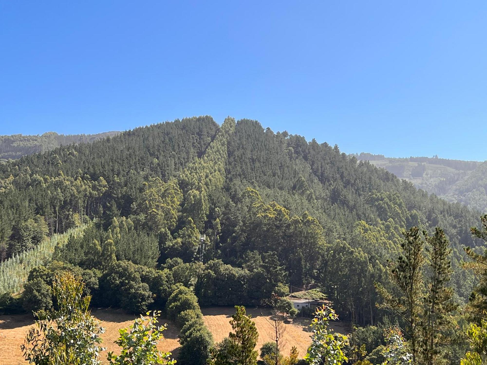 Hotel Mirador De Barcia Ribeira De Piquin Kültér fotó